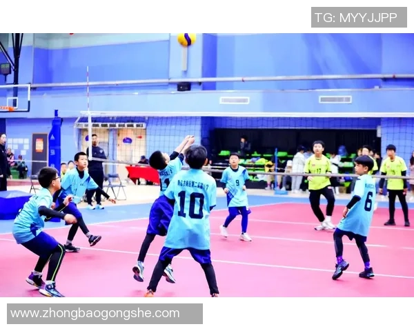 武汉排球队的拼搏之路：奥运会背后的奋斗故事与荣耀时刻