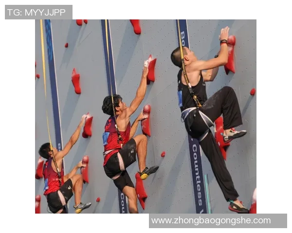 成都攀岩队转型升级之路探索与创新的重磅专题分析