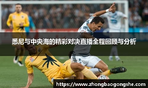 im电竞官网入口